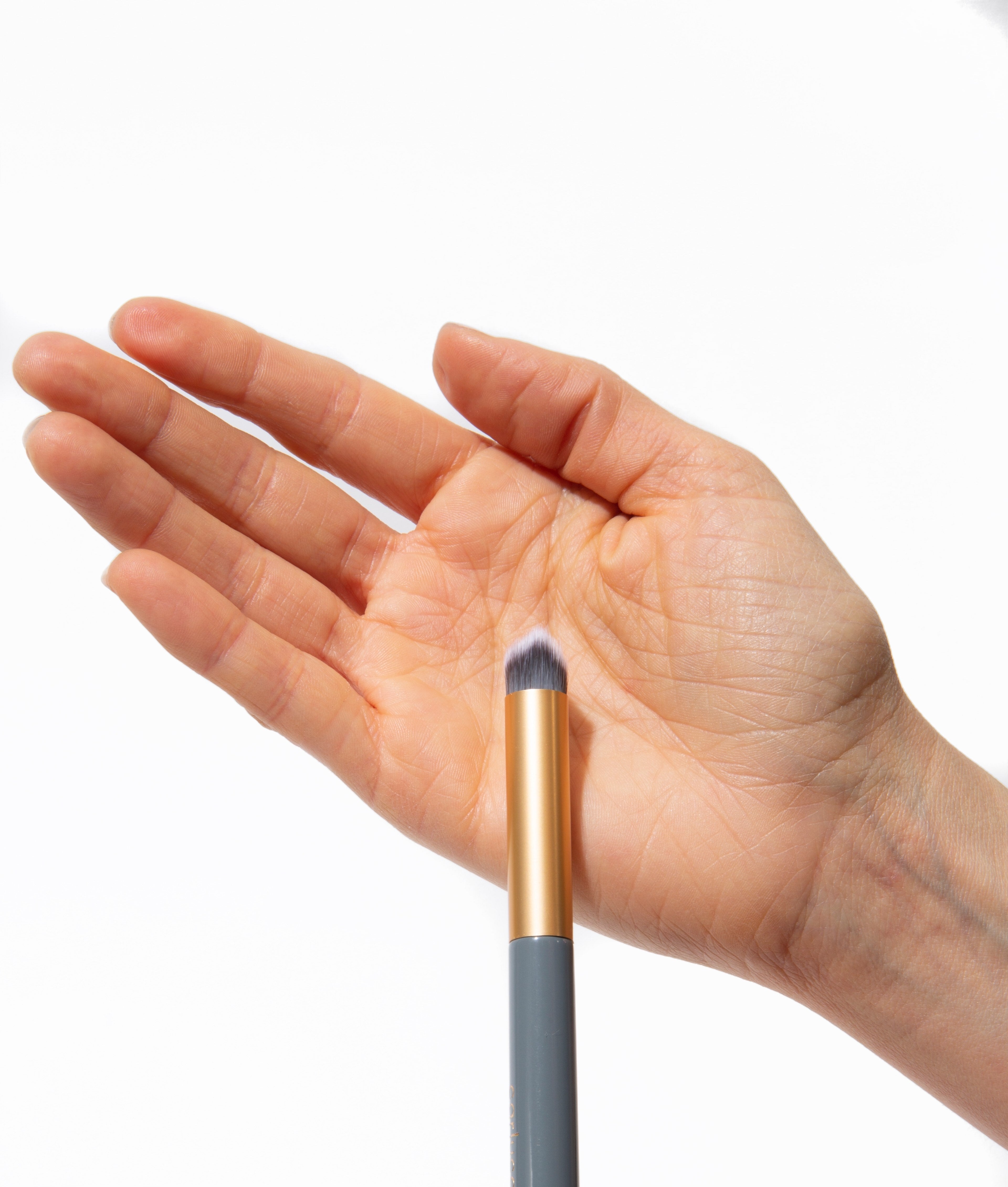 WS: The Hush-Hush Brush